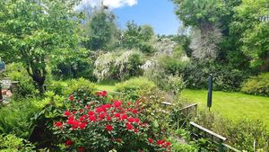 Photo 19- click for photo gallery